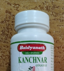 Фото 3 Kanchnar Guggulu Baidyanath Канчнар 80 табл : лимфа, опухоли, язва, кожа, мастопатия, варикоз, фурункулы ИНДИЯ
